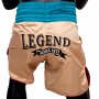 Fairtex BT2010 Шорты Боксерские "Vintage"